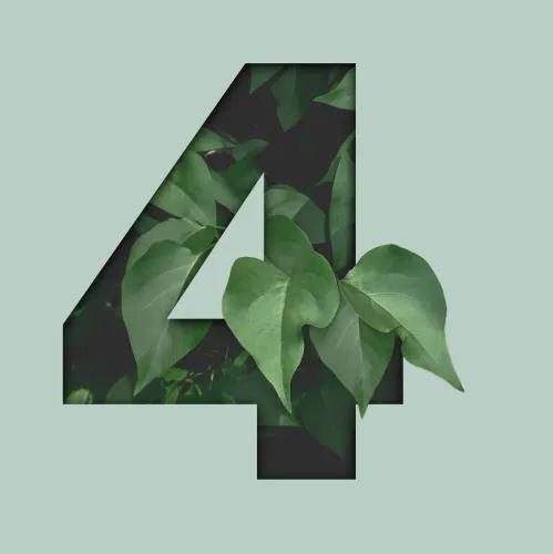medium_four_green_Q_Wbr_Fjv_ab81f4bec4