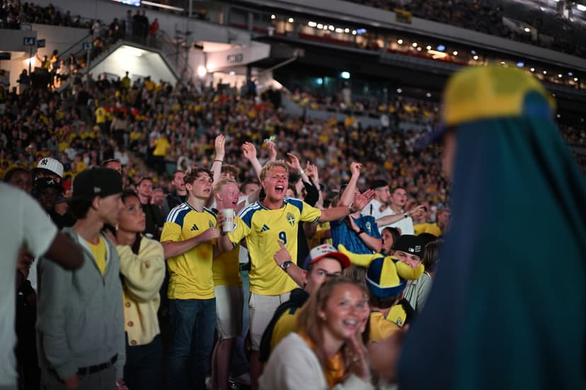 Fotbolls-VM svenska fans