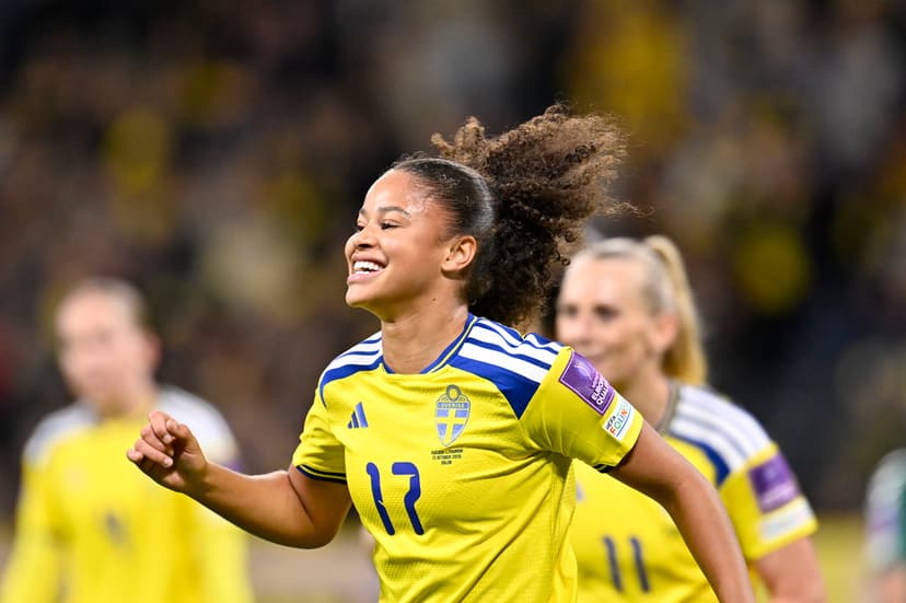 VM playoff: Sverige–Lituen