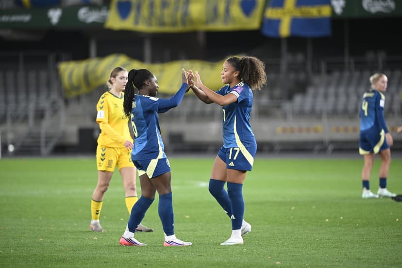 VM-playoff Litauen-Sverige