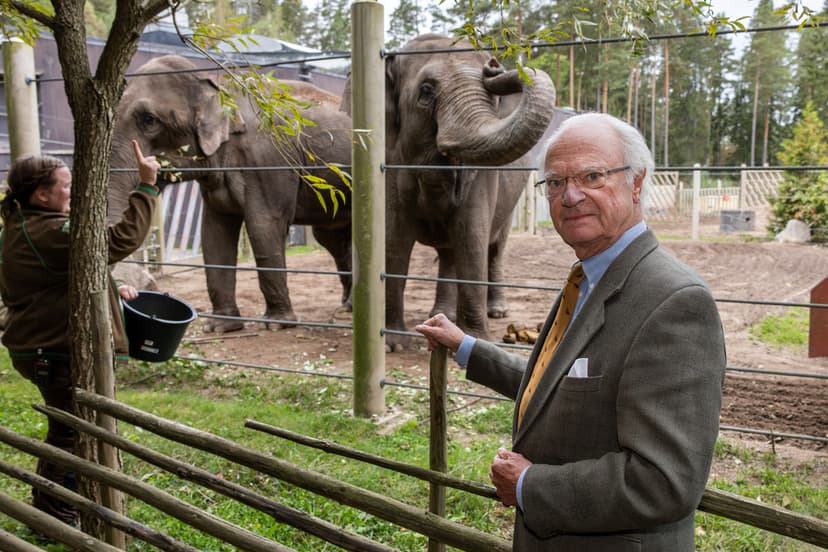 King Carl Gustaf visits his elephants at Kolmården Zoo