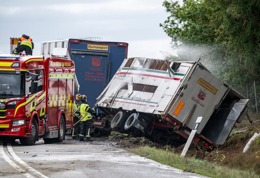 Griskaos nära Hässleholm