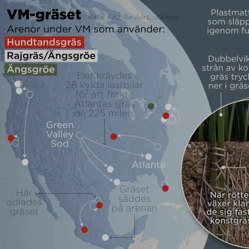Nyhetsgrafik och visuella förklaringar