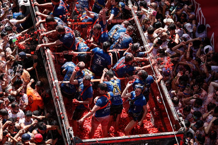 Tomatfestival