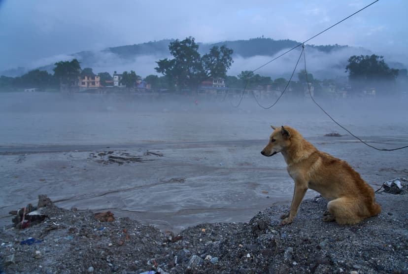 Nationell sorgedag i Nepal – dödstalet stiger