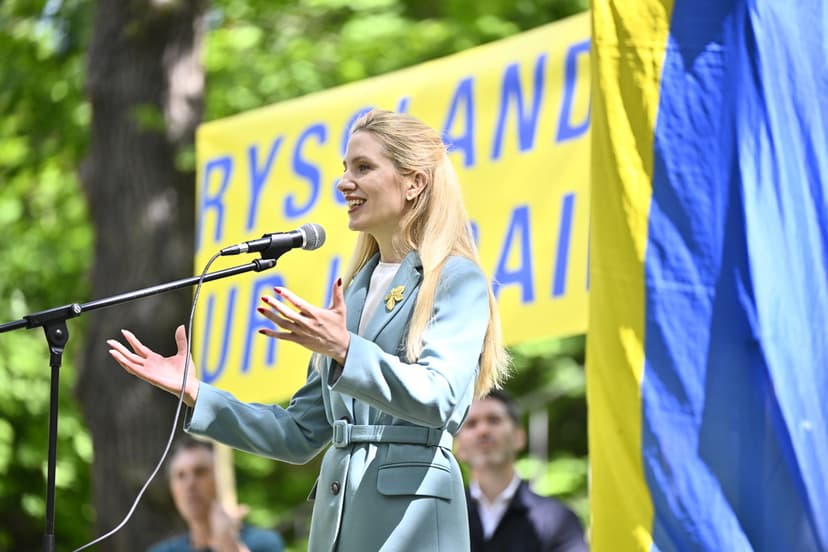 Onsdagsmanifestation "Ryssland ut ur Ukraina"
