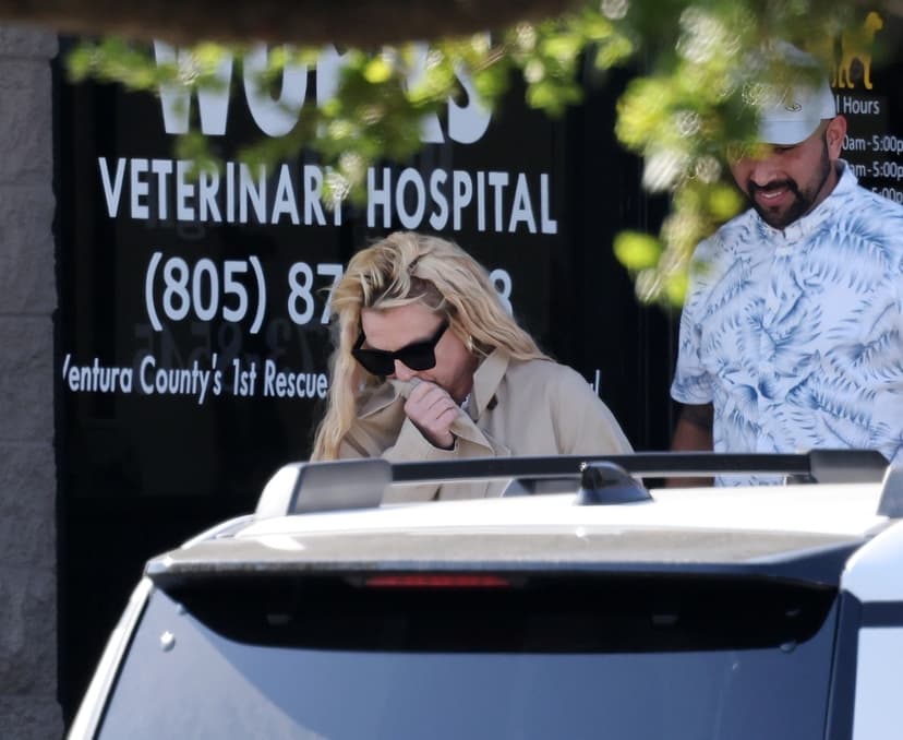 Britney Spears besöker veterinär