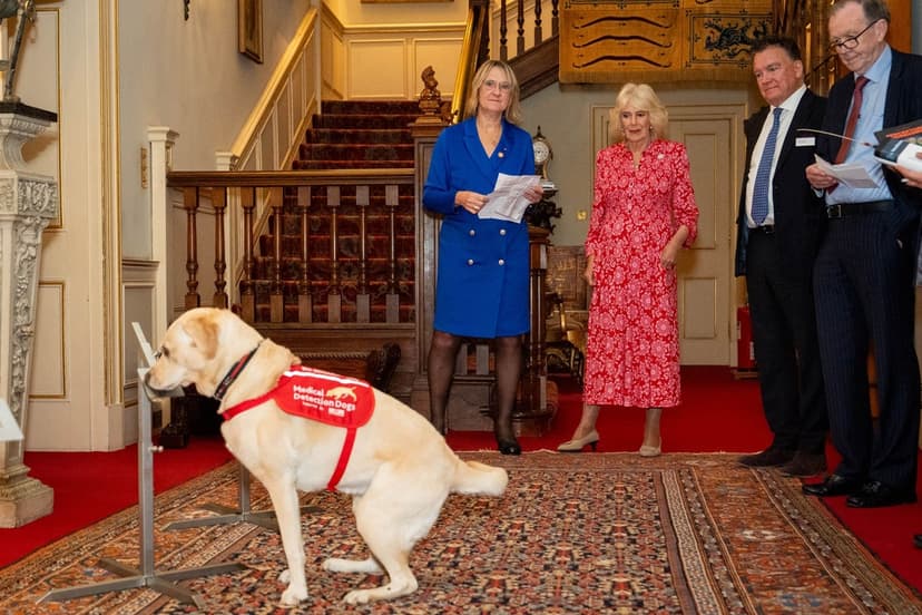 Drottning Camilla på mottagning för medicinhundar