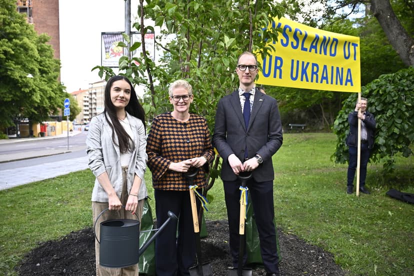 Stockholms stad planterar träd för Ukraina