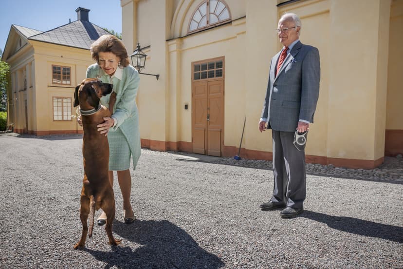 Kungaparet fotograferade på Drottningholm inför sitt guldbröllop