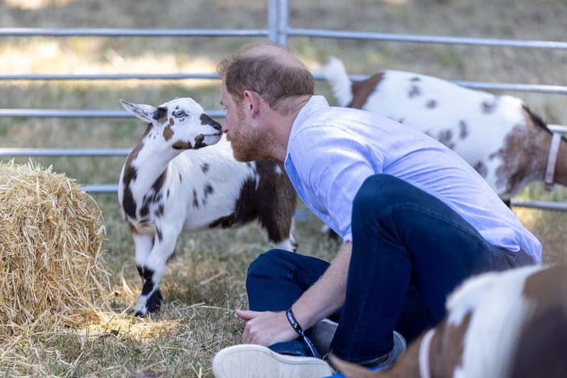 Prins Harry provar getyoga