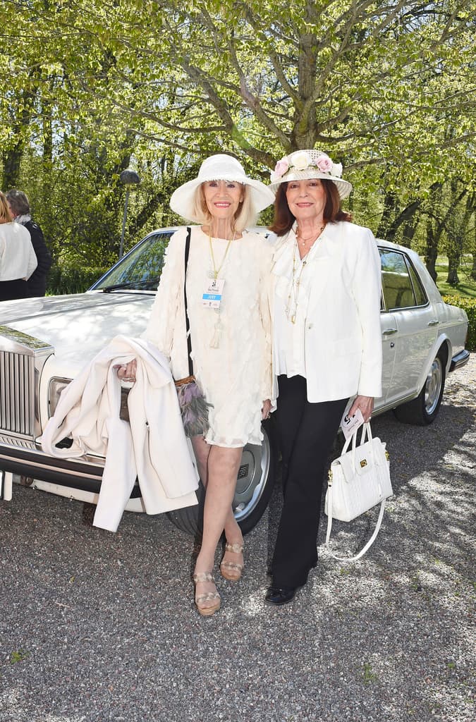 Classic & dream cars på Åkeshovs slott