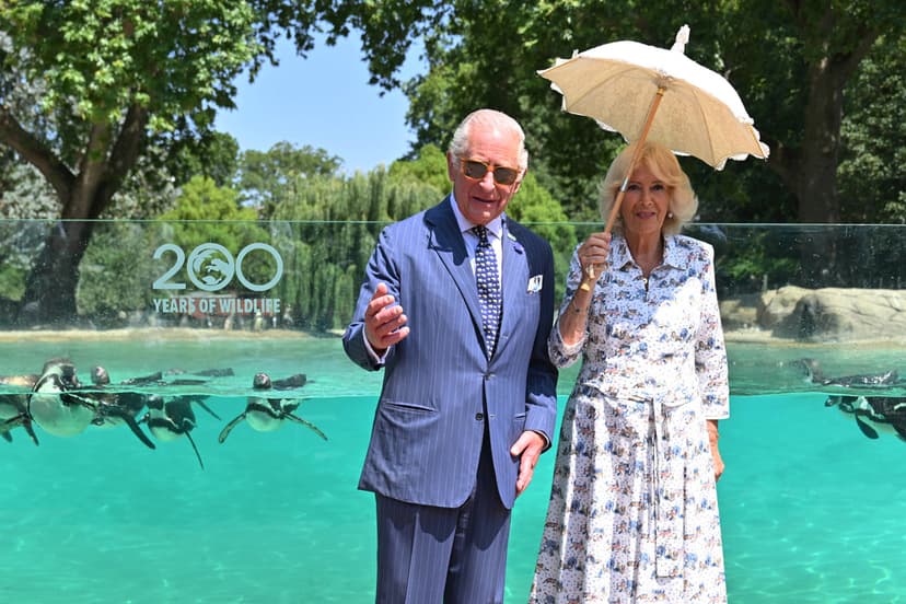 Kung Charles och drottning Camilla möter pingviner på London Zoo